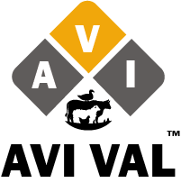 Avi Val